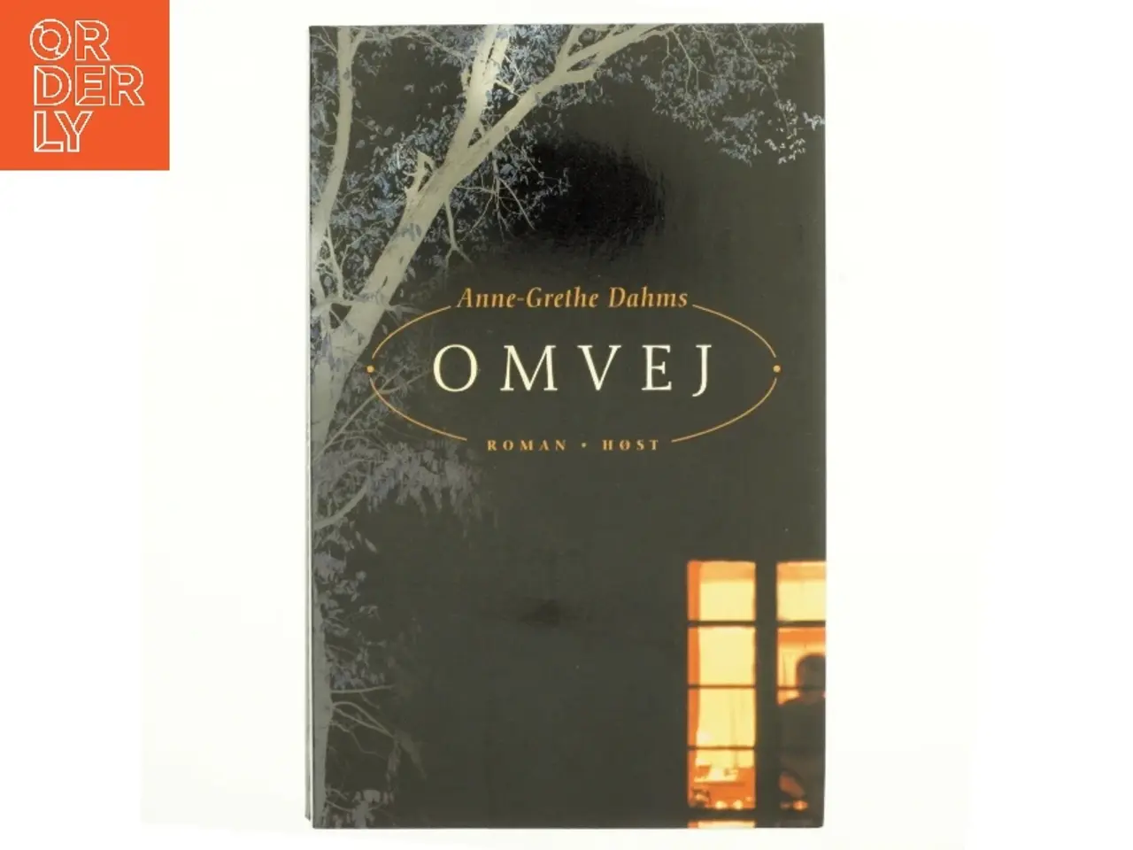 Billede 1 - Omvej af Anne-Grethe Dahms (Bog)