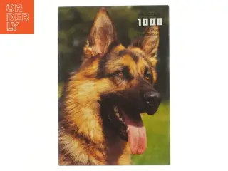 Puslespil med 1000 brikker (str. 1000 brikker cm)