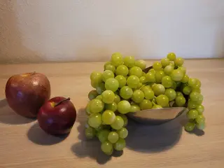 Naturtro kunstige frugter