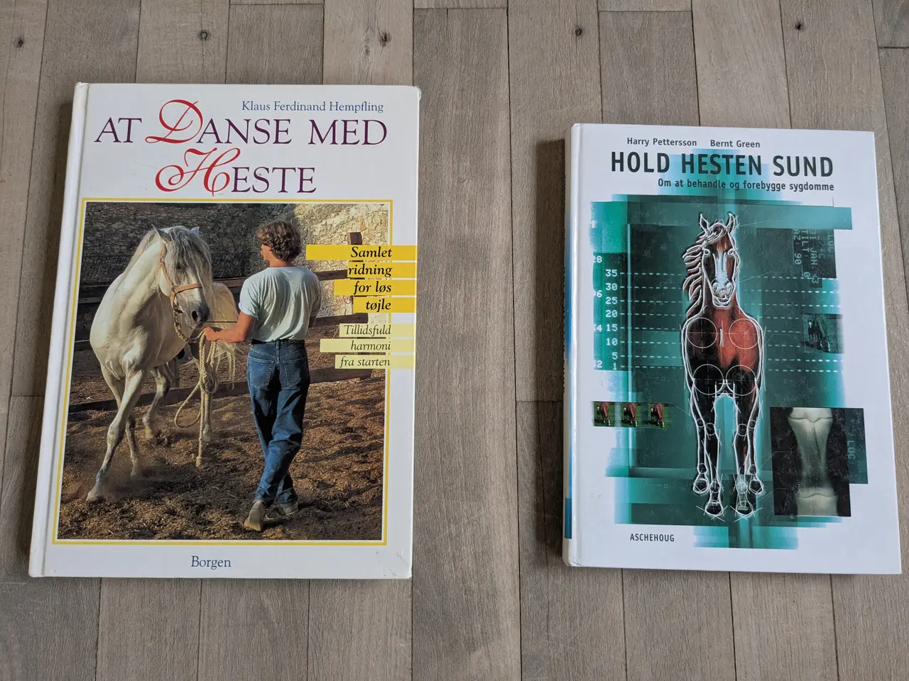 Billede 1 - Heste bøger
