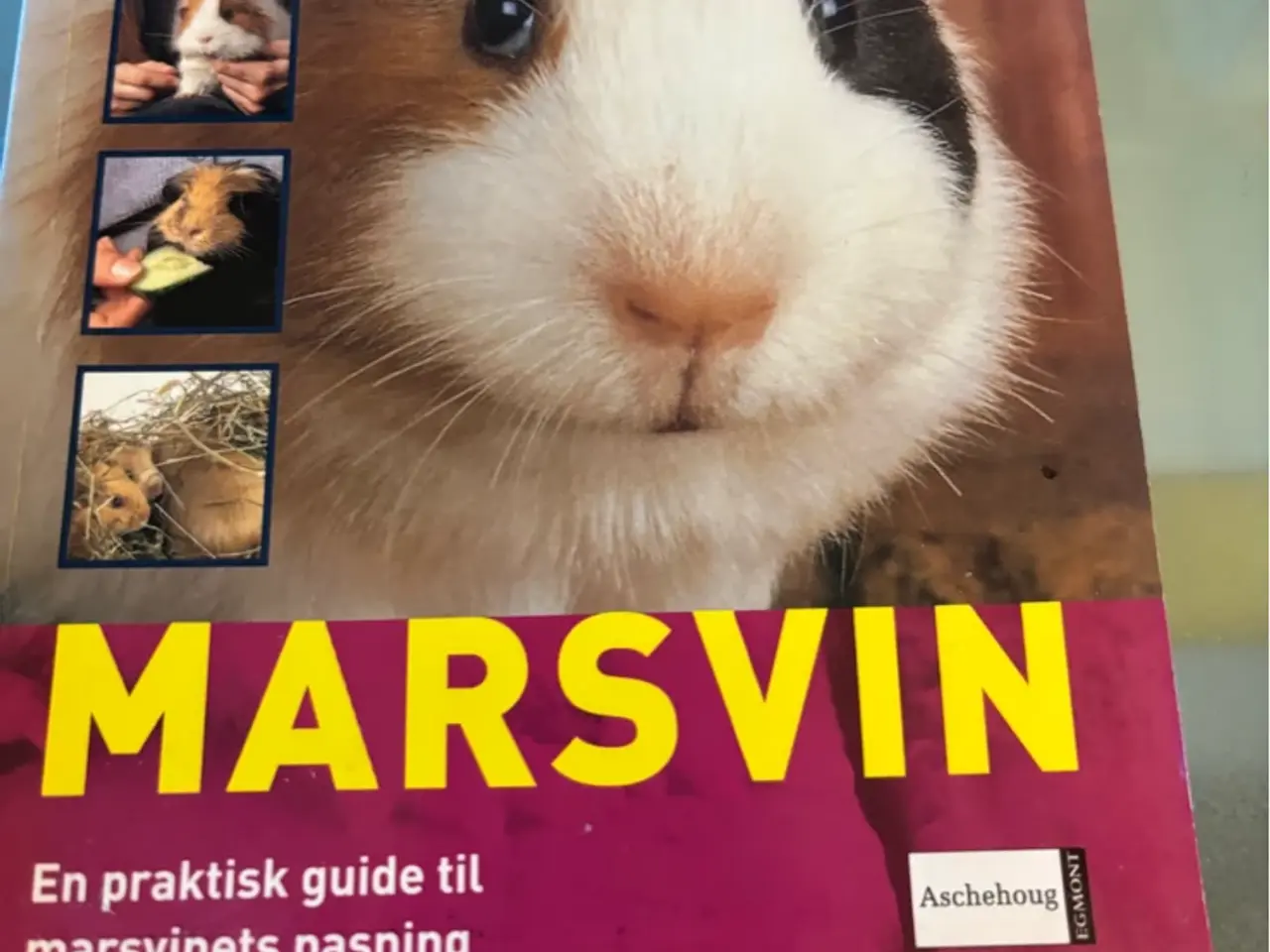 Billede 1 - Marsvin bog 