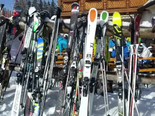 Kantslibning og voksning af ski / snowboard