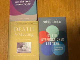 Patrick lencioni 3 bøger