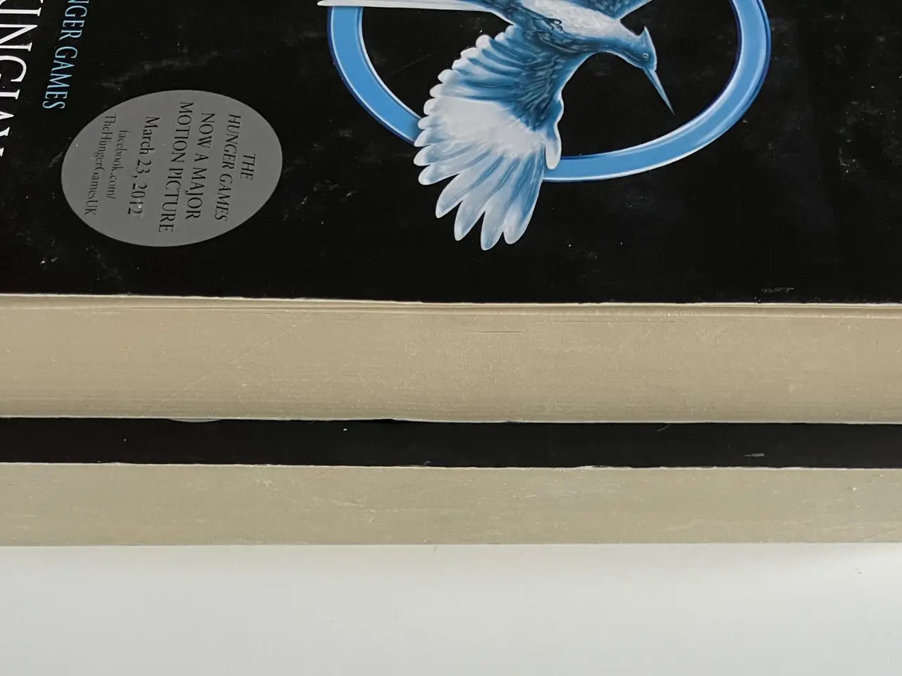 Billede 6 - Catching Fire + Mockingjay (2 books) 