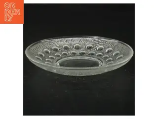 Glas tallerken (str. 15 cm i diameter)