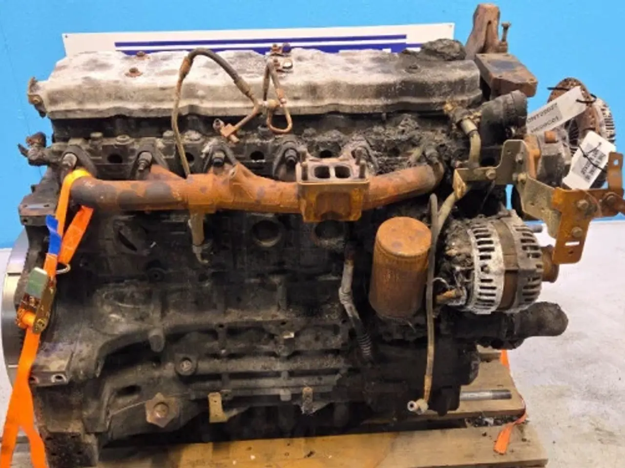 Billede 16 - Iveco F4DFE614G Motor 48007009