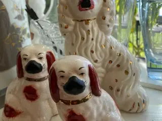3 stk Staffordhunde