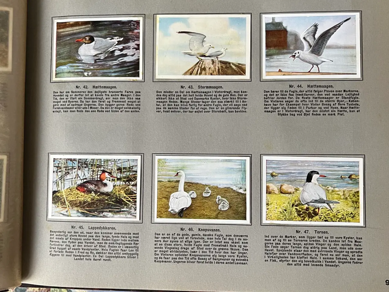 Billede 7 - Richs Samlealbum