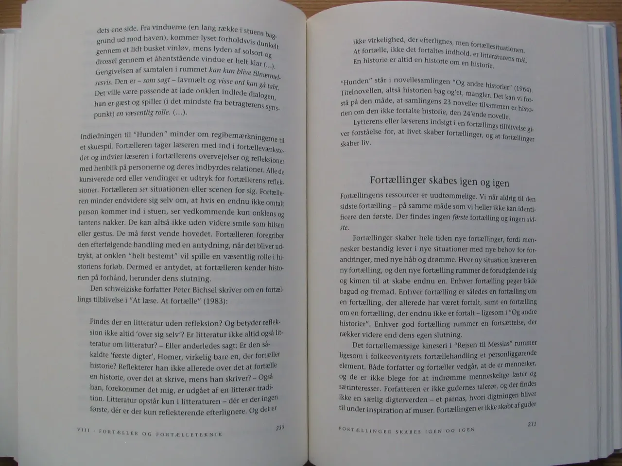 Billede 6 - Litteraturens spor om litteratur, fag og pædagogik