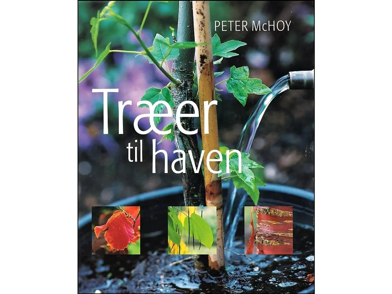 Billede 1 - Træer til Haven