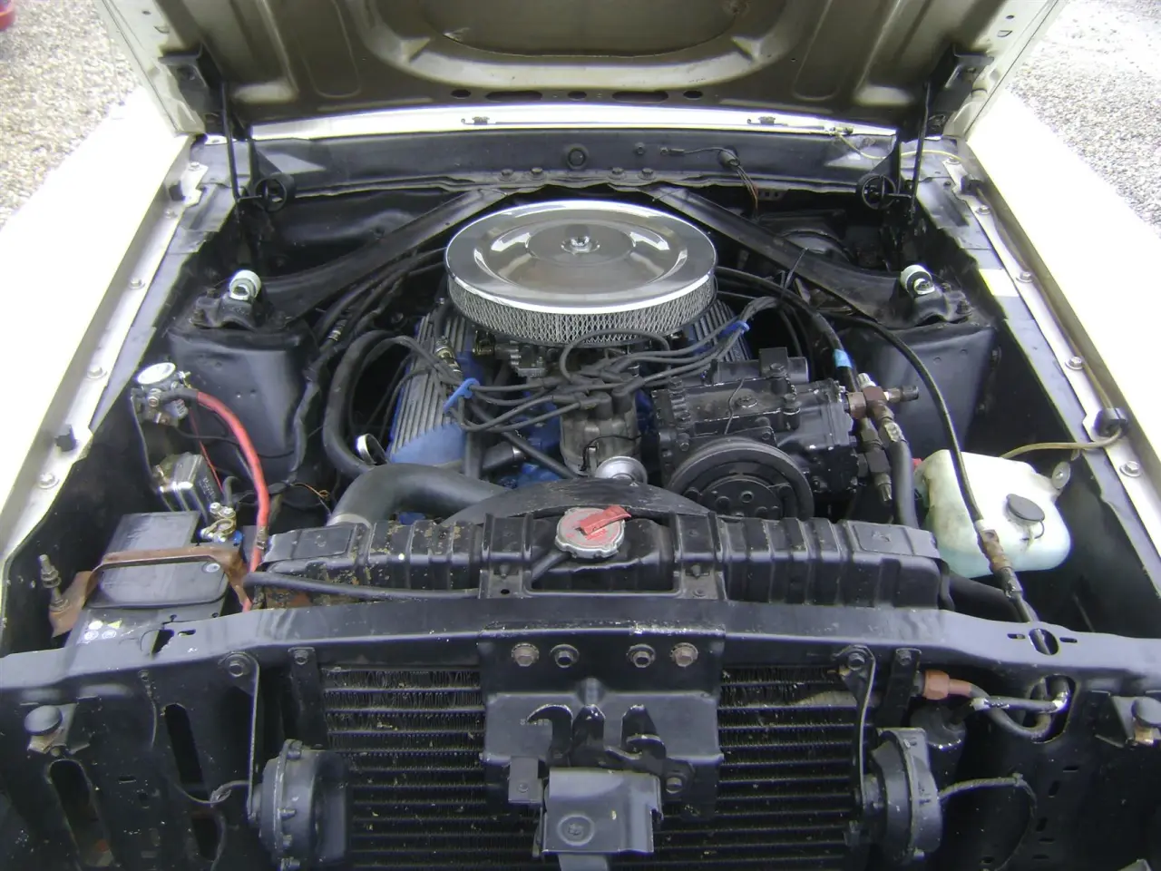 Billede 13 - Ford Mustang 5,0 313HK Cabr. Aut.