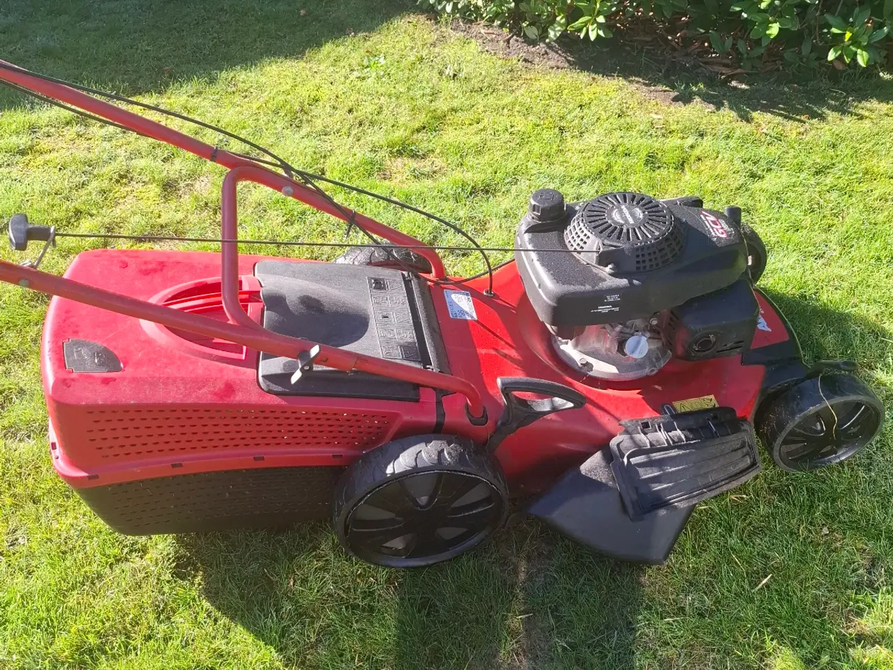 Billede 1 - Alko plæneklipper ,med honda motor