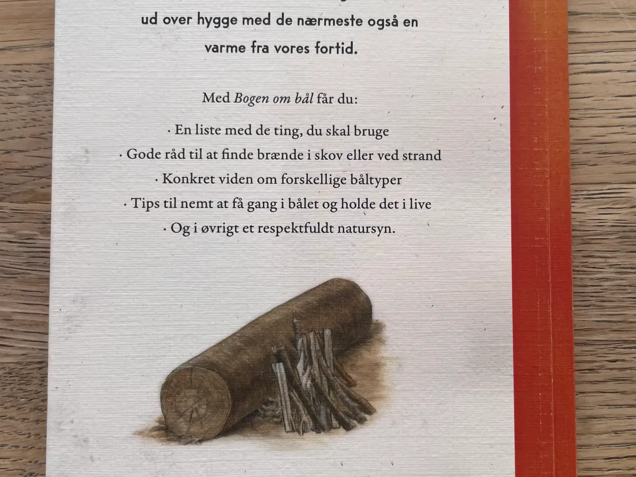 Billede 2 - Bogen om bål, Flemming Møldrup