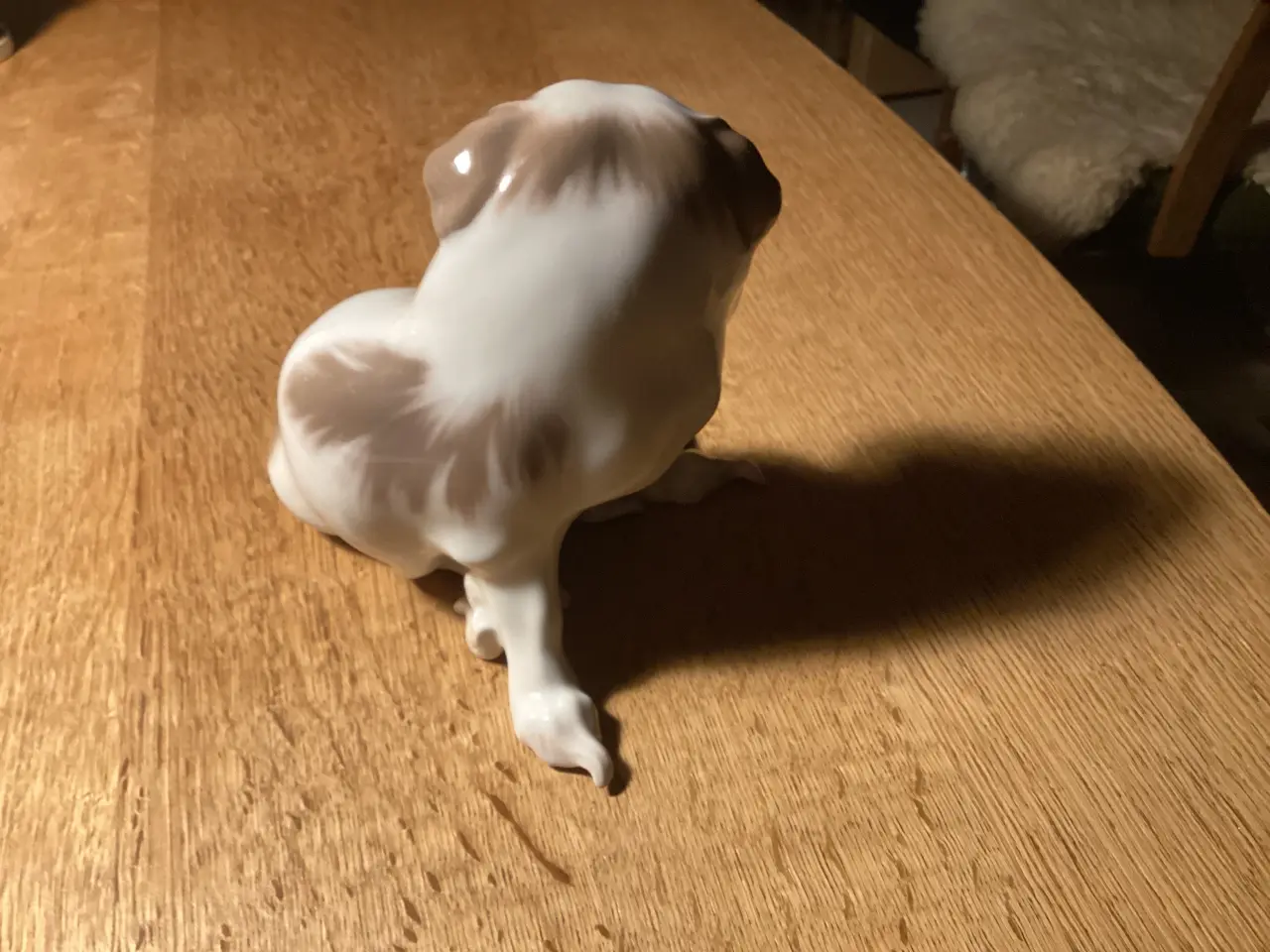 Billede 4 - BG stor Pekingeser hvalp 1000,00kr