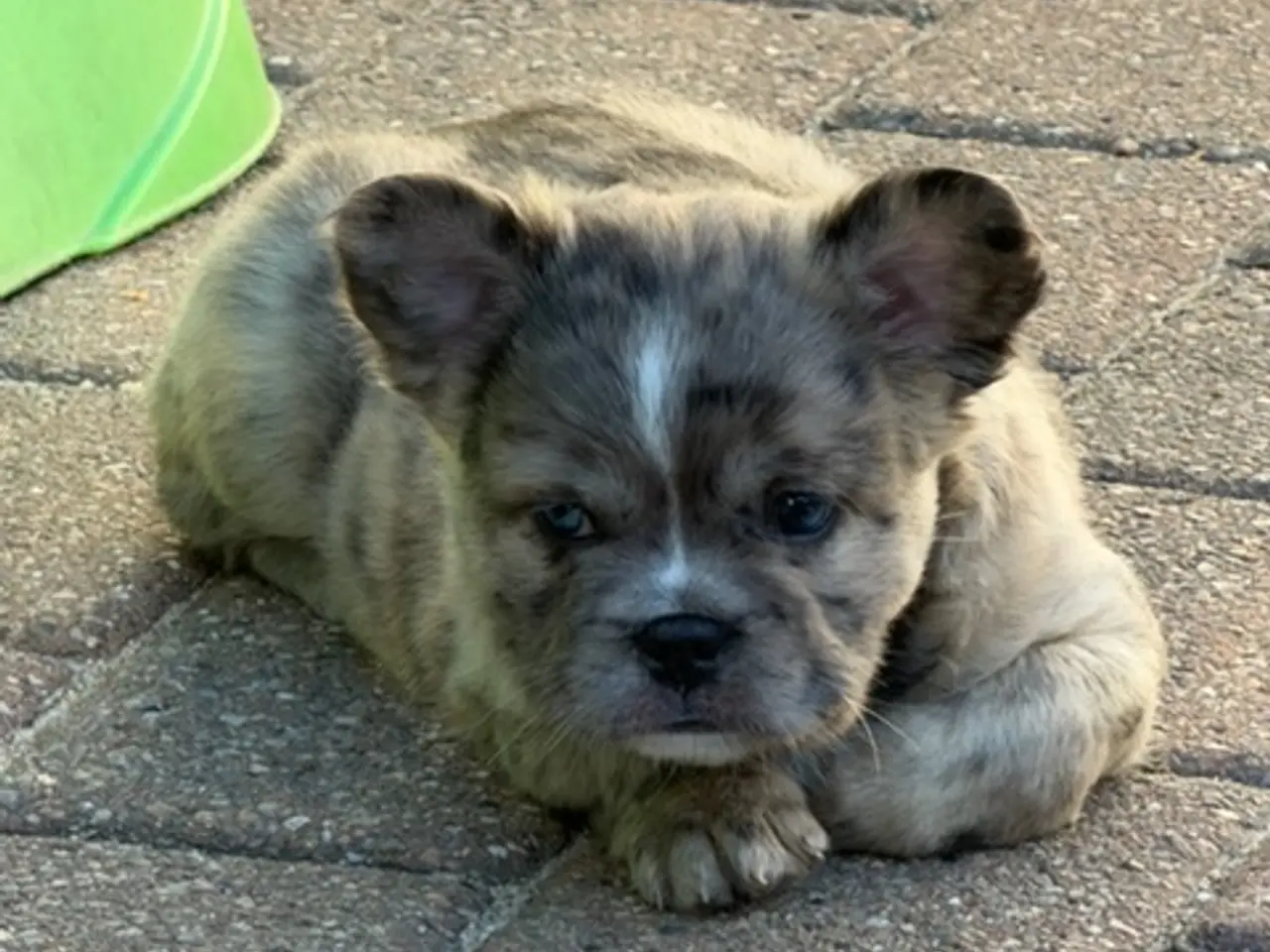 Billede 2 - Fluffy blanding