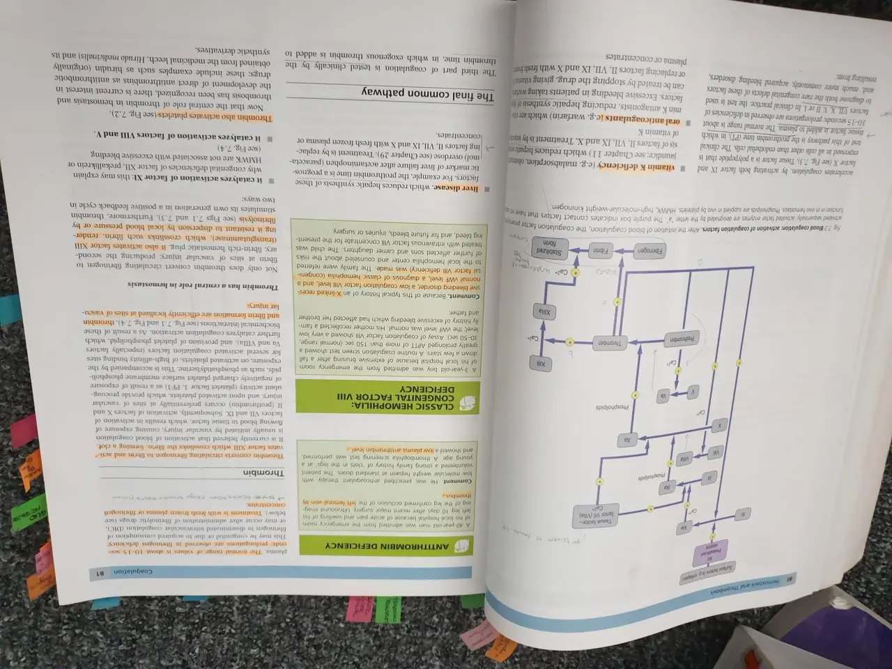 Billede 2 - Medical biochemistry 3 edition