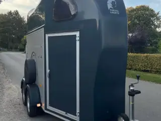 Cheval liberte gold one - Baldur
