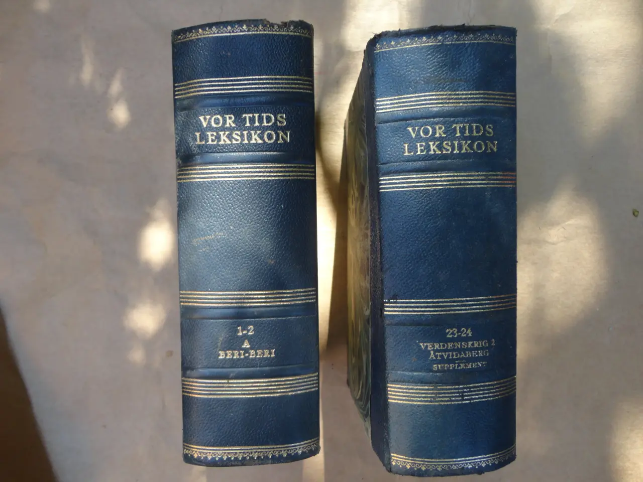 Billede 1 - Vor Tids Leksikon  :