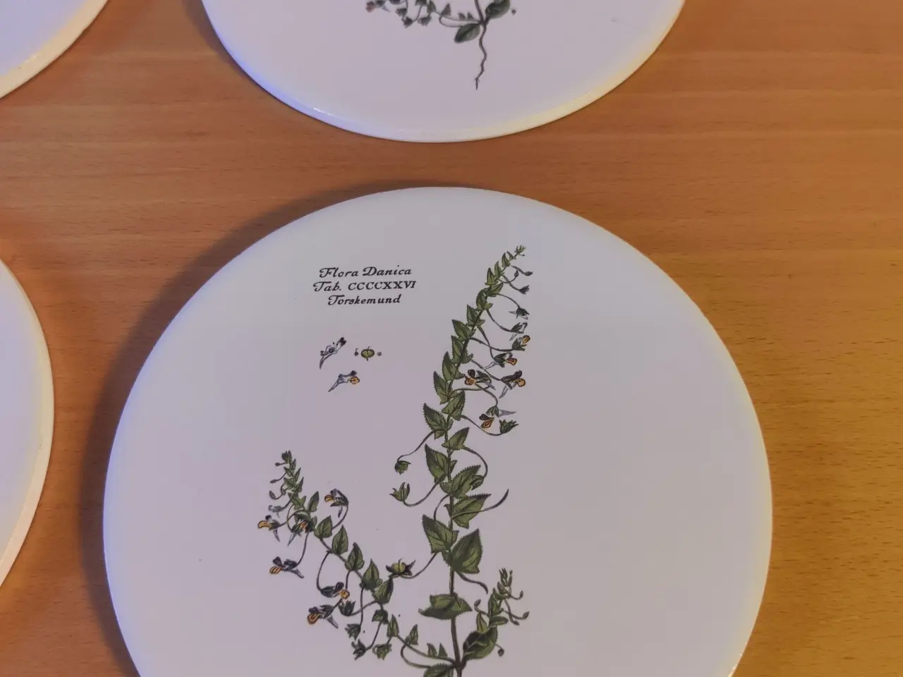 Billede 4 - Flora Danica sæt