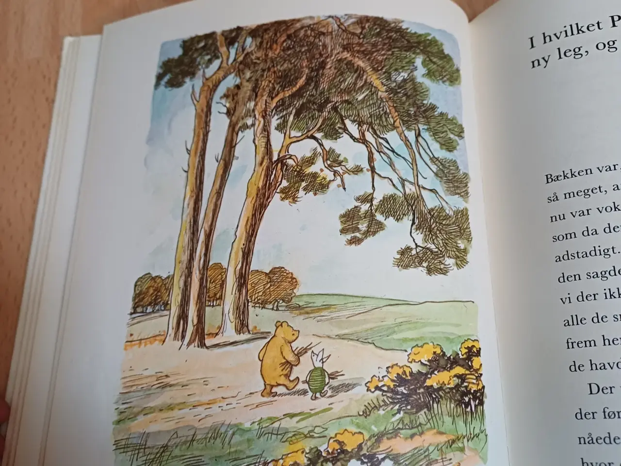 Billede 6 - Snøvsen og peter plys