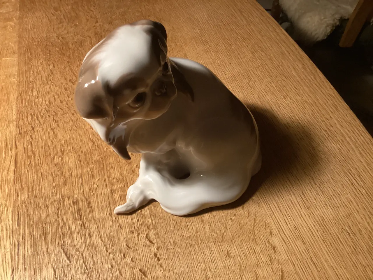 Billede 3 - BG stor Pekingeser hvalp 850,00