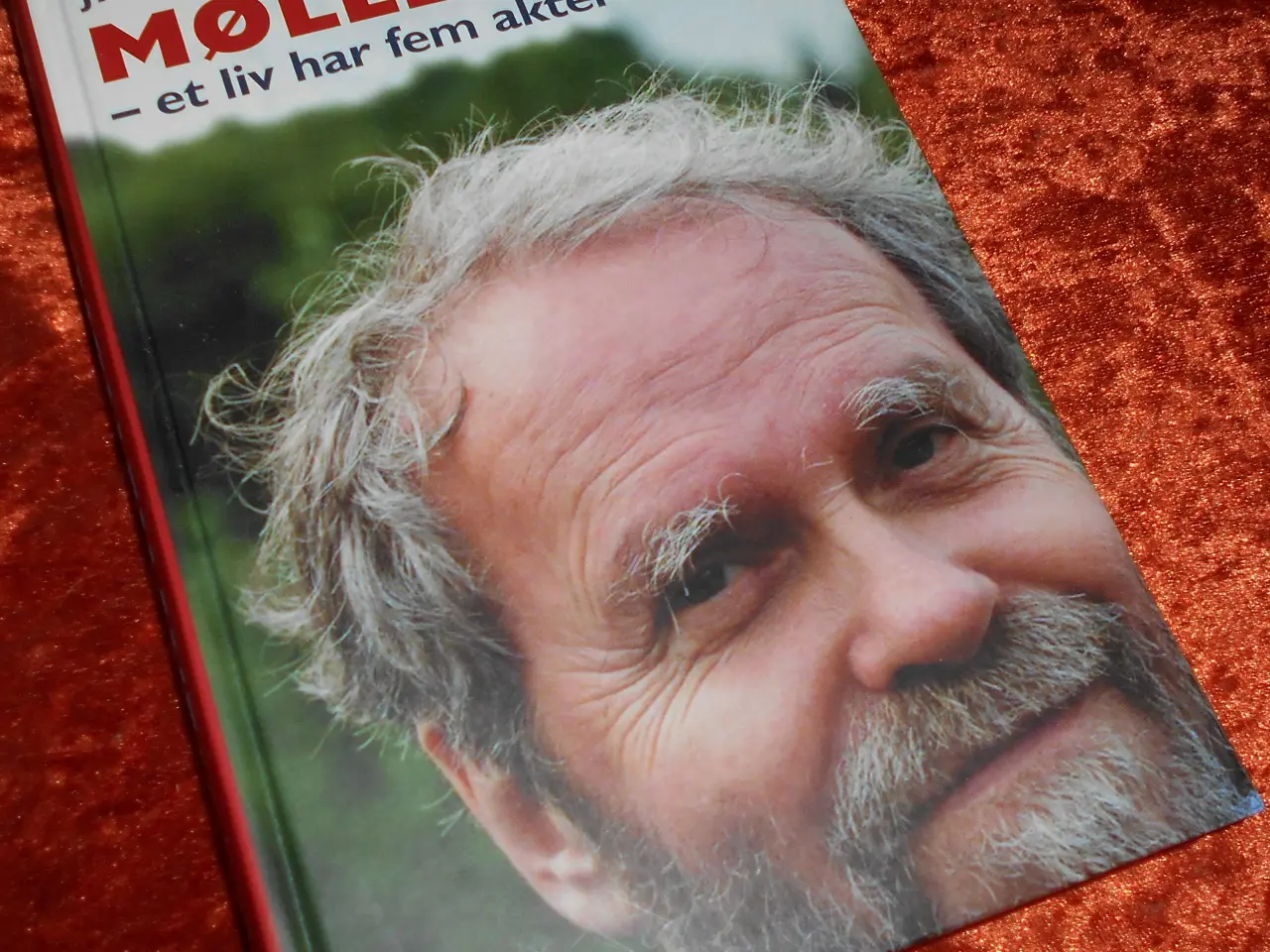 Billede 2 - Johannes Møllehave