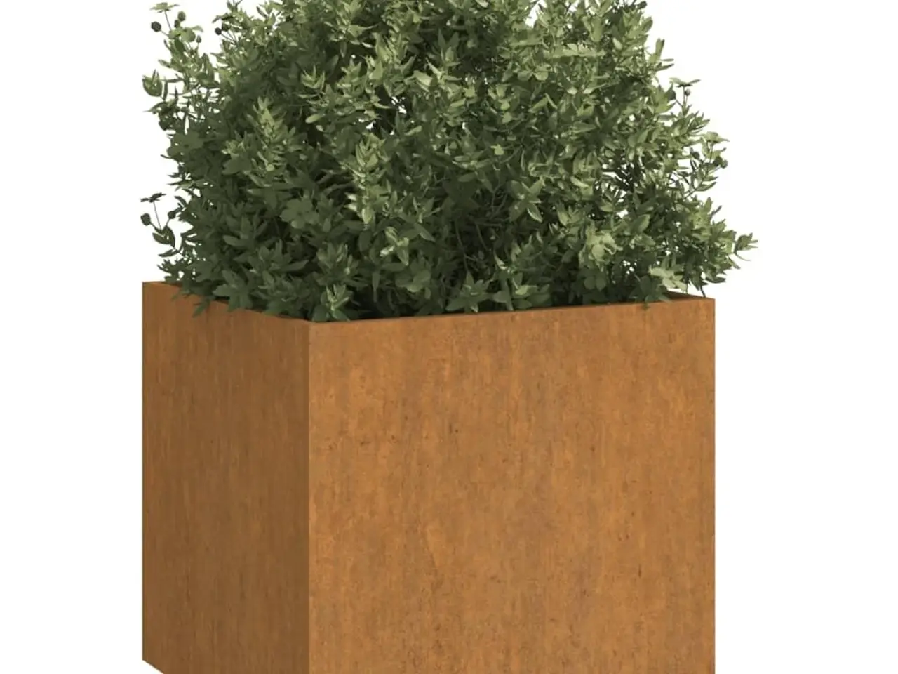 Billede 3 - Plantekasser 2 stk. 49 × 47 × 46 cm i cortenstål - rustfarvet