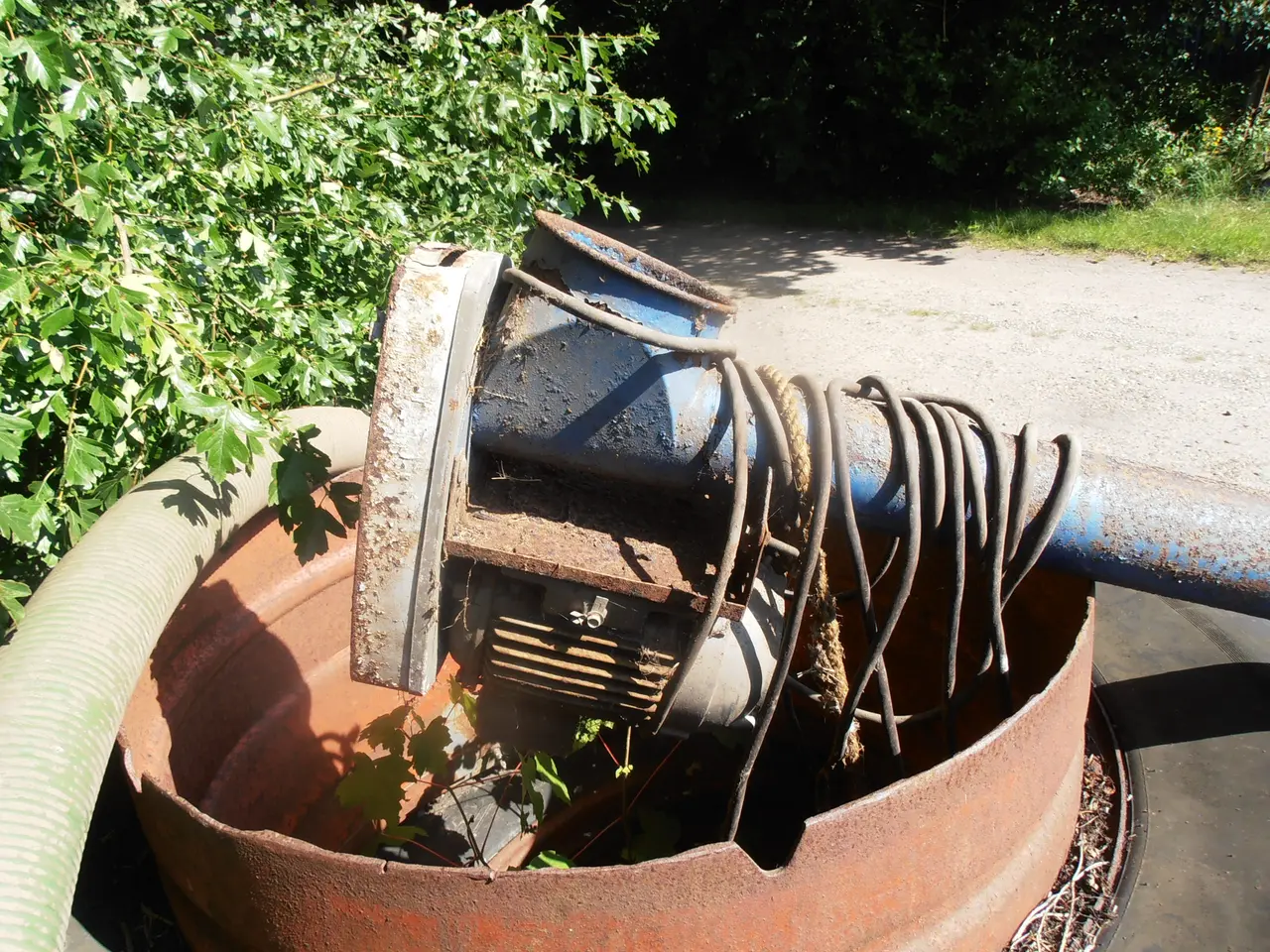 Billede 5 - Kornsnegl med elmotor