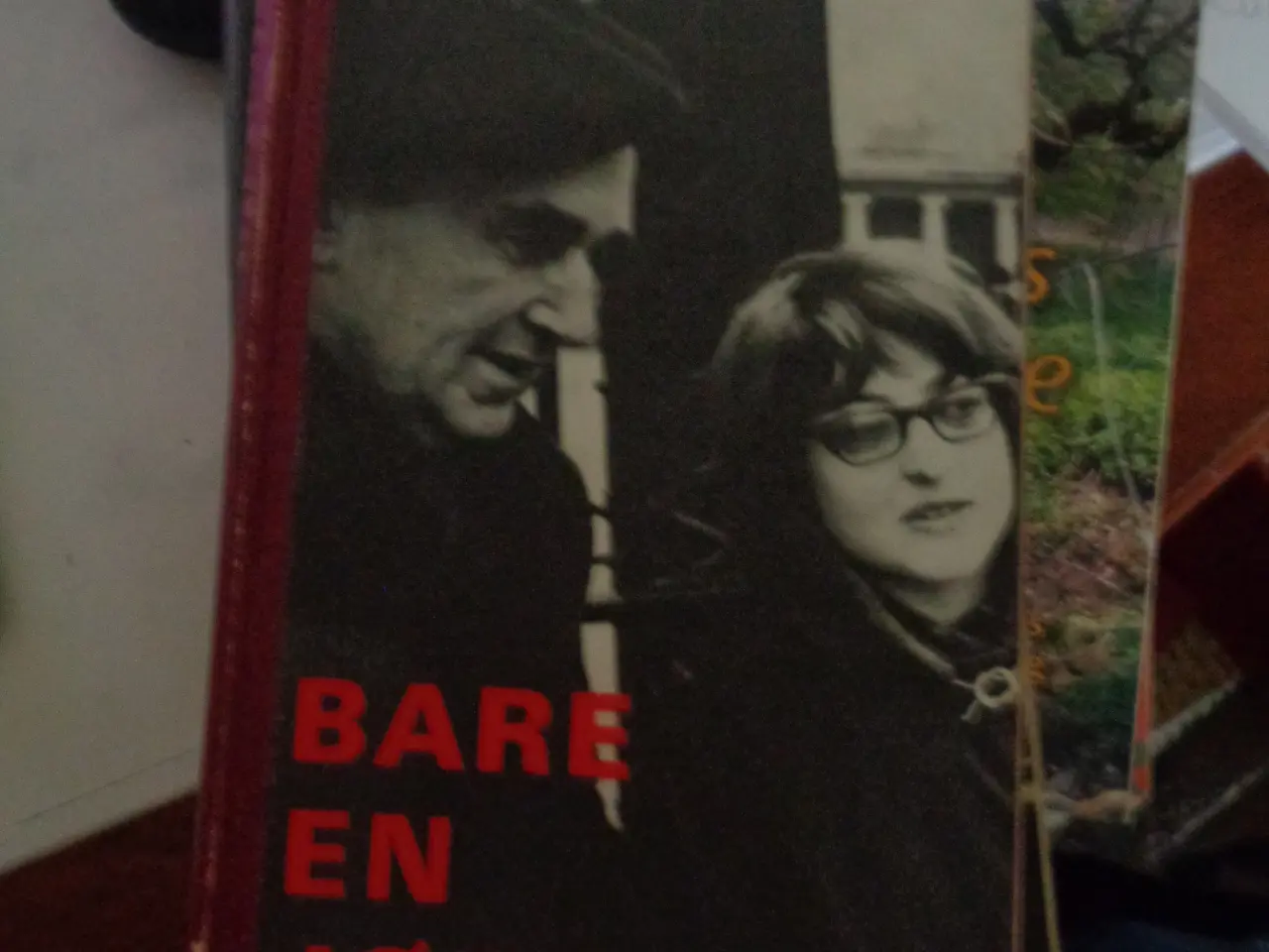 Billede 1 - Bare en jøde