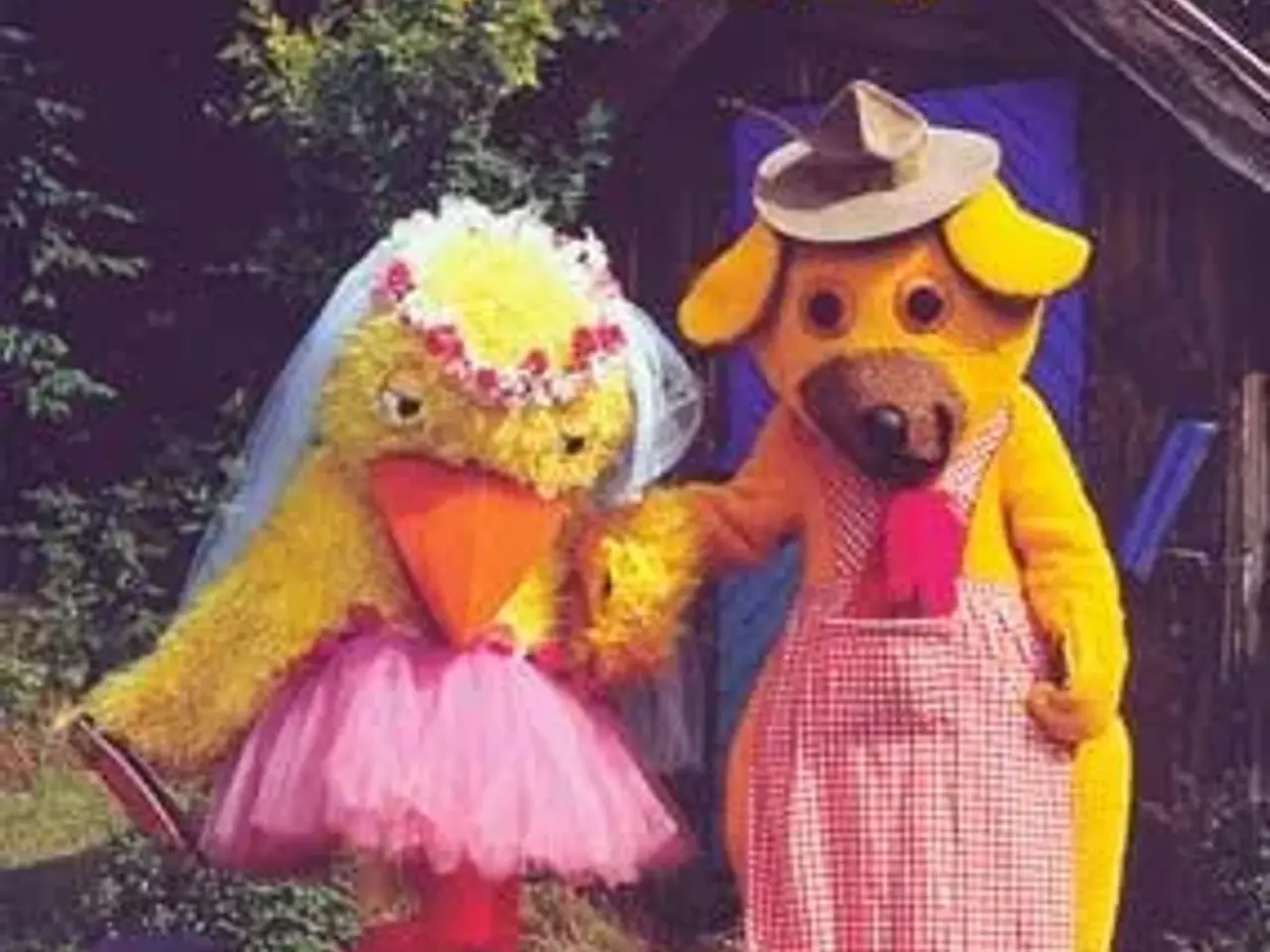 Billede 1 - BAMSES fjollerier ; 4 dvd sæt
