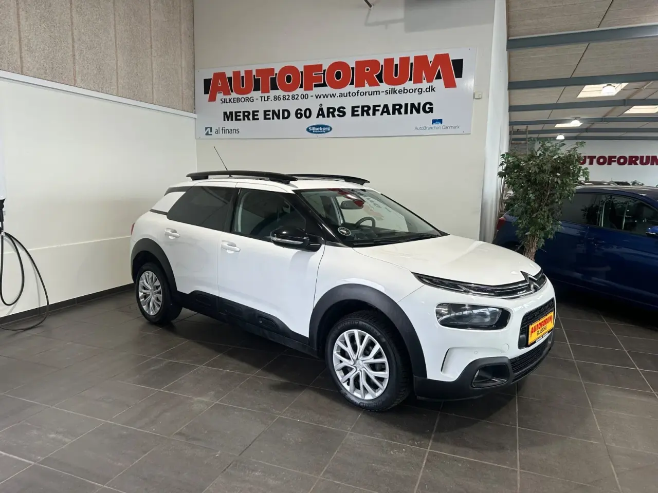 Billede 1 - Citroën C4 Cactus 1,5 BlueHDi 100 SkyLine Van