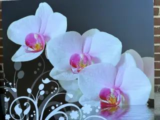 Billede