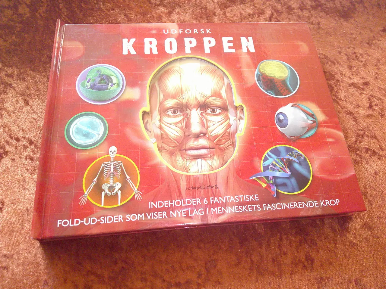 Billede 1 - Udforsk kroppen, Barbara Taylor