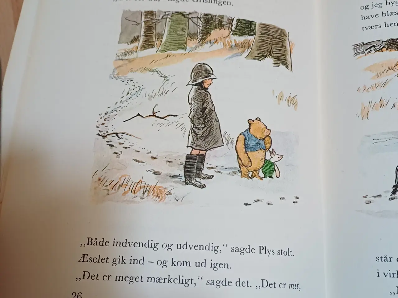 Billede 7 - Snøvsen og peter plys