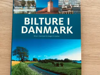 Bilture i Danmark af Jørgen Hansen