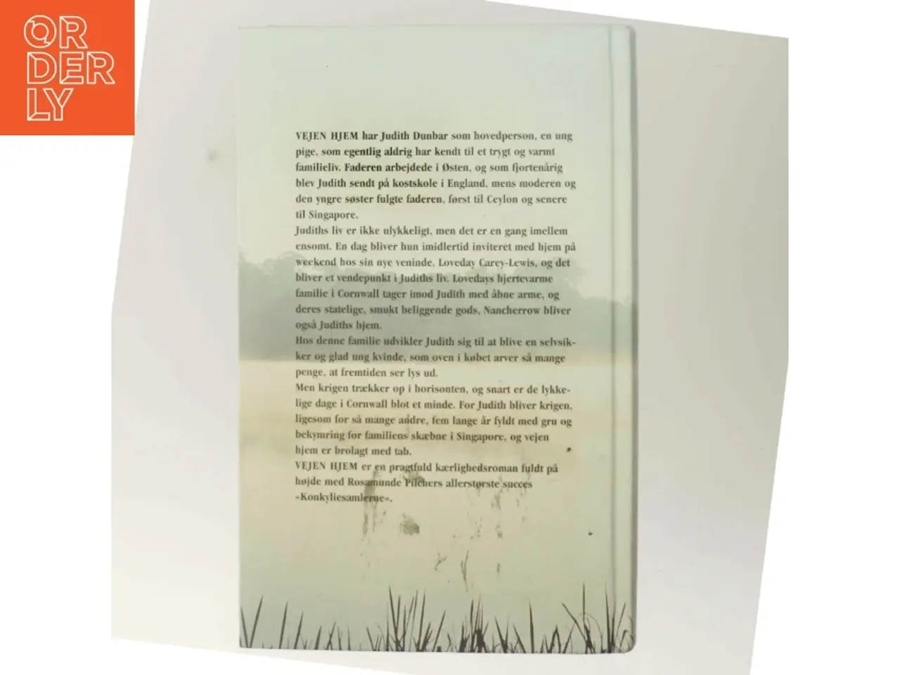 Billede 3 - Vejen hjem af Rosamunde Pilcher (Bog)