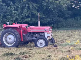 Massey Ferguson 135 diesel 