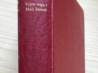 Vejen sogn i Malt Herred