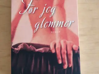 Før jeg glemmer. André Brink