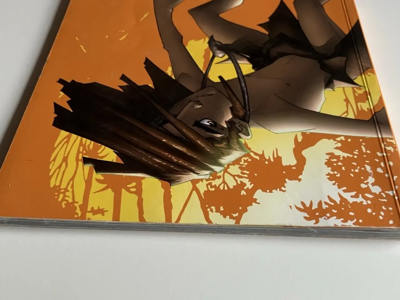 Billede 6 - The Jungle Book (Graphic Revolve) (English)