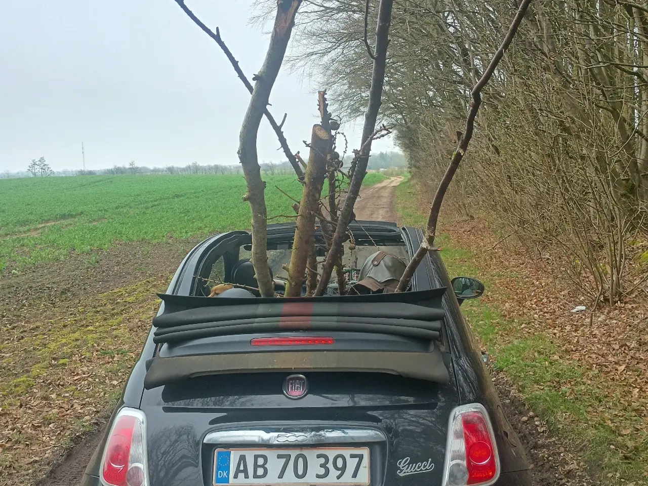 Billede 7 - Gucci rare edition cabriolet fiat 500c