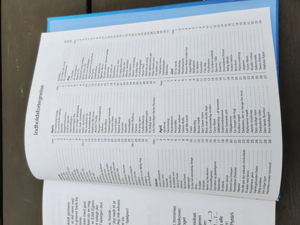 Billede 6 - Mine bedste 365 historier 