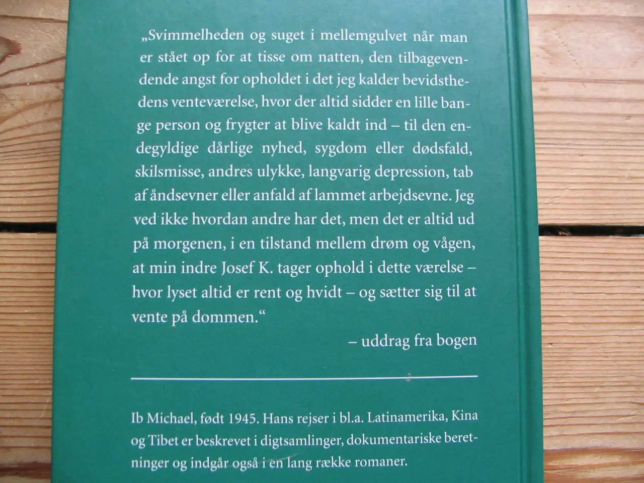 Billede 4 - Ib Michael. Mit år