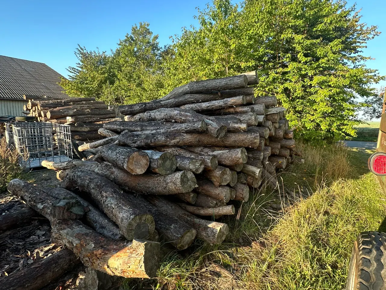 Billede 1 - Brænde fyr træ