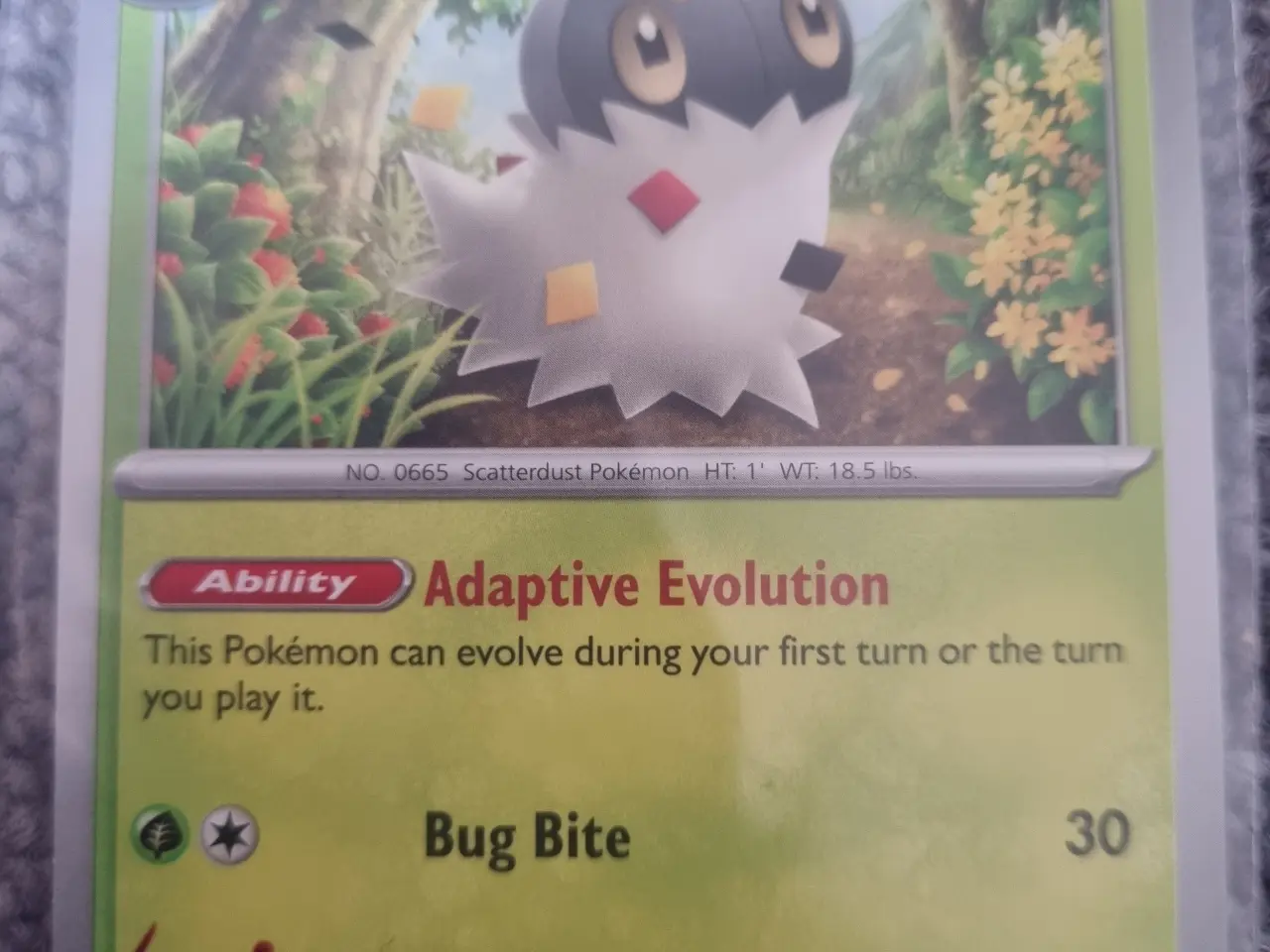 Billede 19 - Annonce 378 - Pokemon