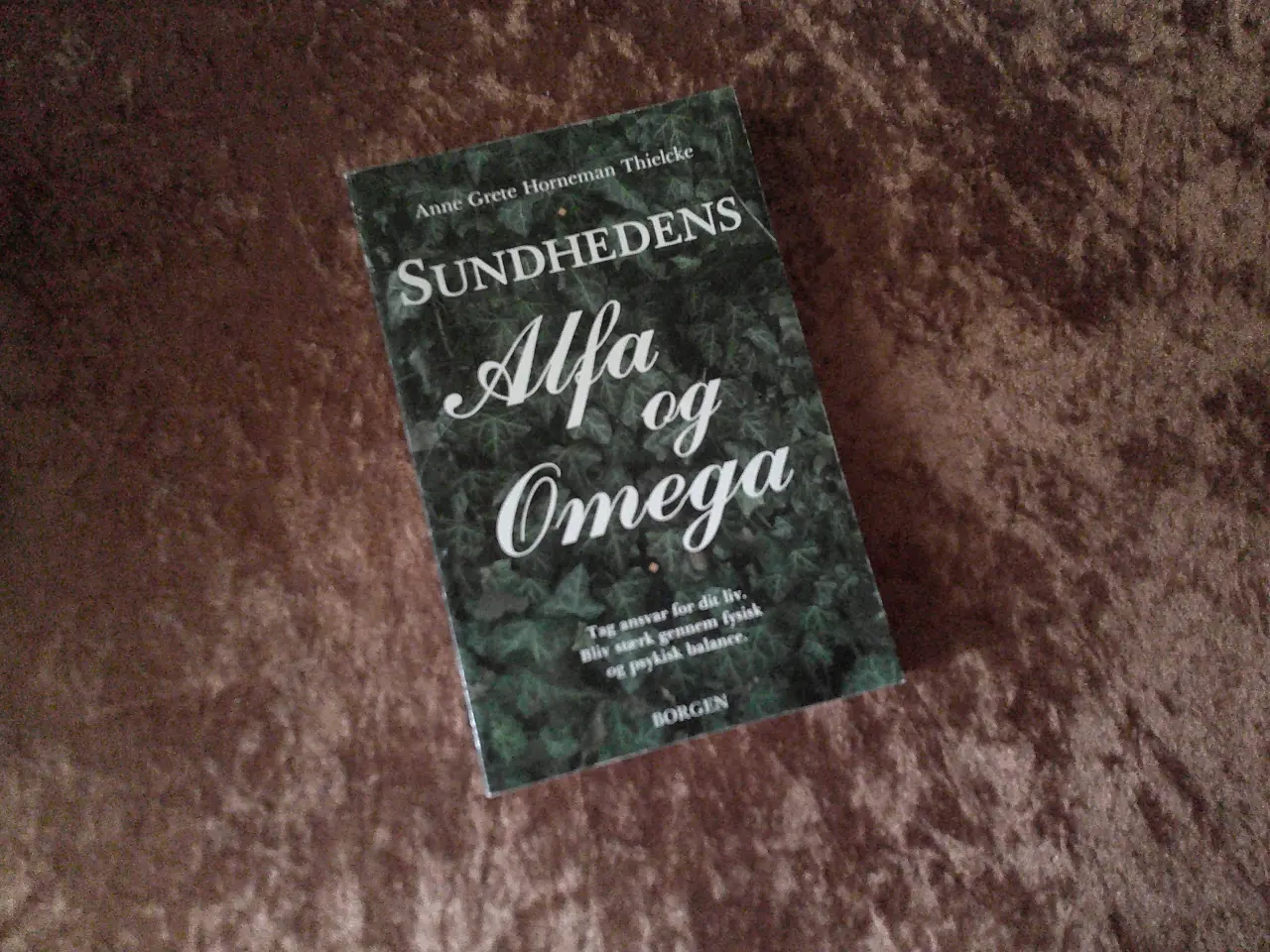 Billede 1 - Sundhedens alfa og omega, Anne Grete Horneman