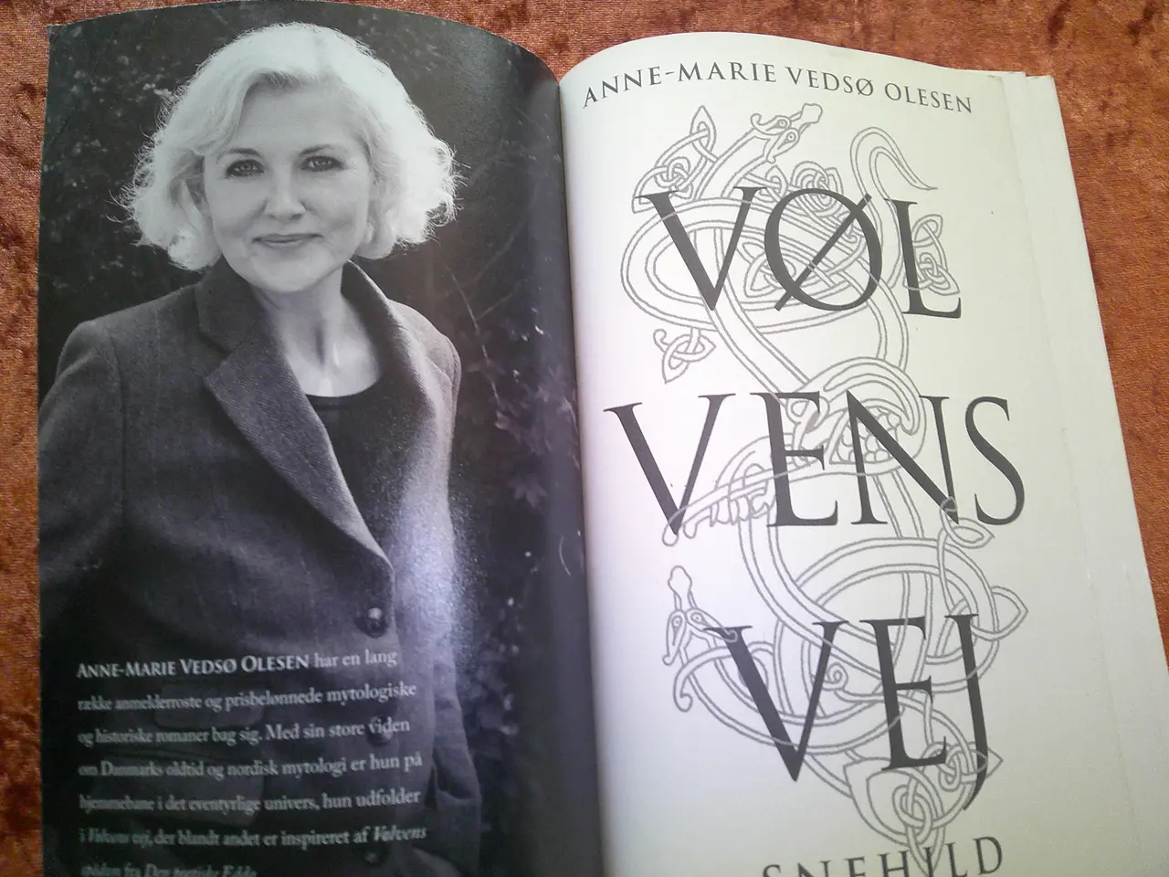 Billede 2 - Vølvens vej - Snehild, Anne-Marie Vedsø Olesen,