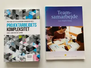 Projektarbejdets kompleksitet - team samarbejde