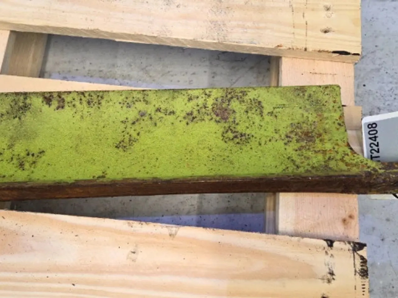 Billede 11 - Claas Jaguar 850 Kniv Plade 9843395