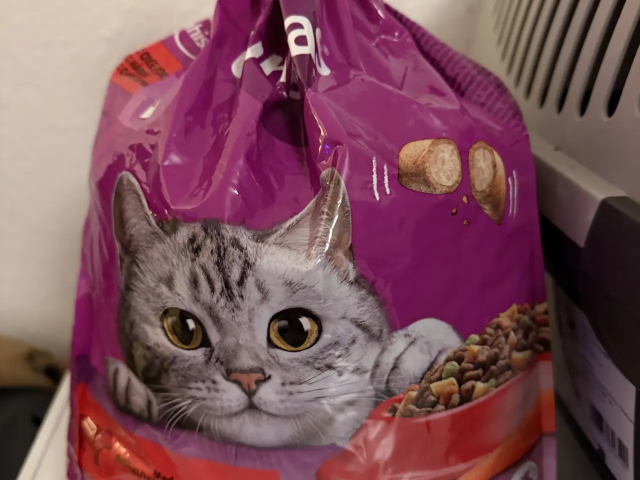 Billede 1 - Katte transport og lidt kattemad 